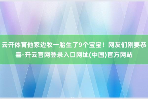 云开体育他家边牧一胎生了9个宝宝!网友们刚要恭喜-开云官网登录入口网址(中国)官方网站